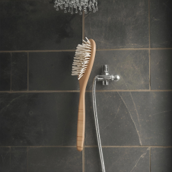 Brushes (0)